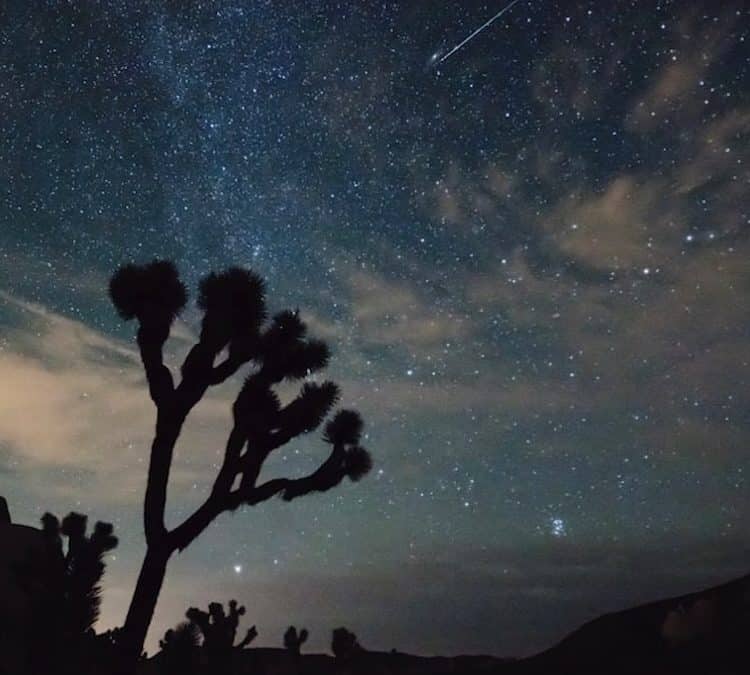 Falling Stars and Wishes