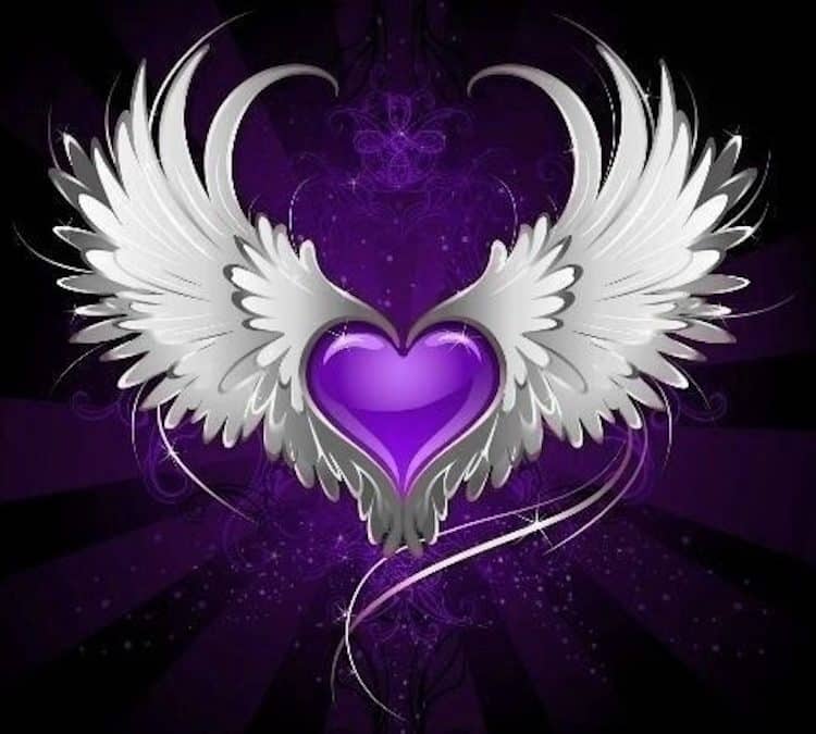 Flying Purple Love