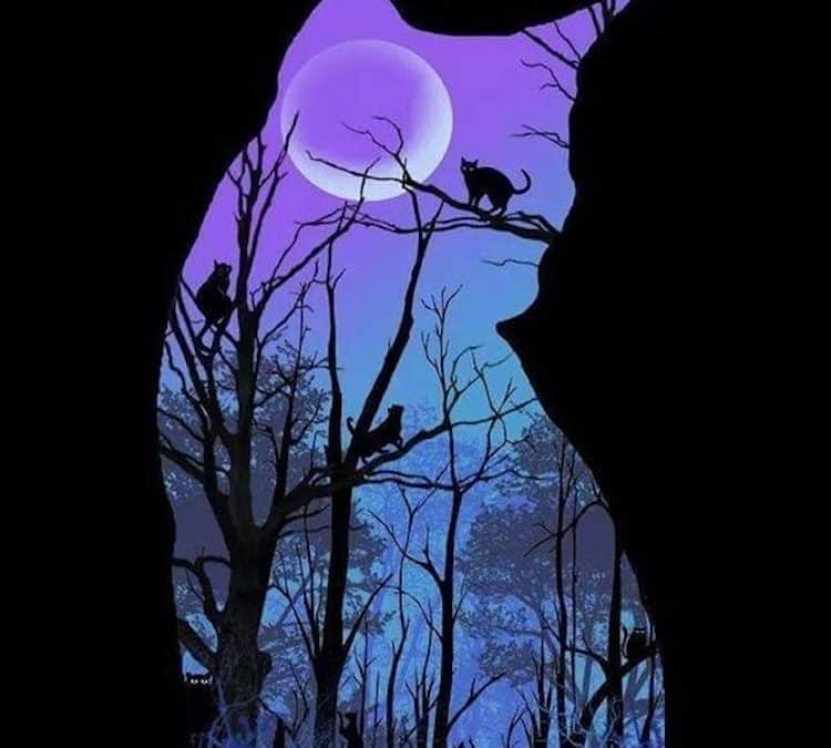 It’s a Purple Cat Kind of Day