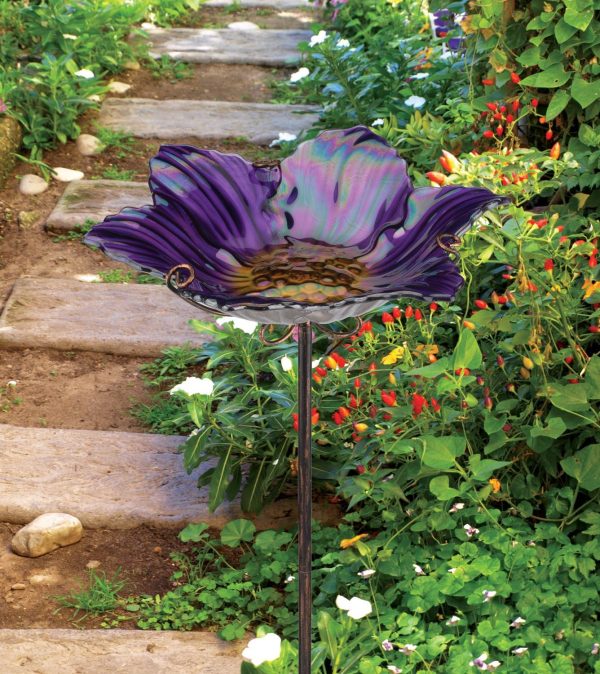 Glass Bird Bath / Feeder on Stand