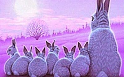 Bunnies at Sunrise