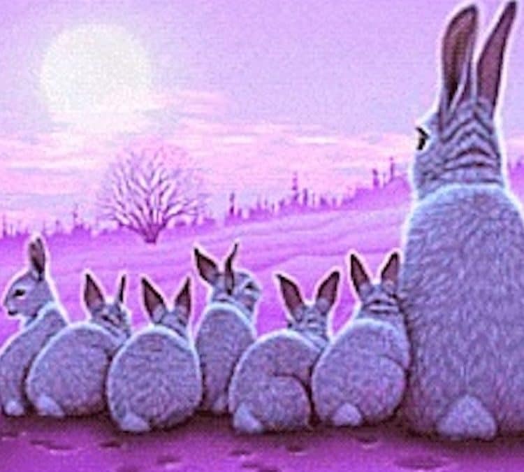 Bunnies at Sunrise